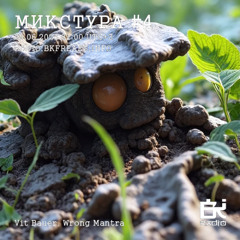 Vit Bauer & Wrong Mantra - Mixtura 4 mix 28.06.25