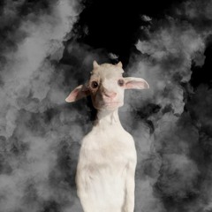 is this your idea of paradise? [BILLY THE GOAT KID FOG ENCOUNTER]