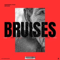 PARANORMAL ATTACK & NERVELESS - BRUISES