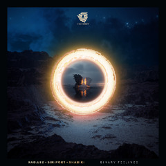 Premiere: Rad.Lez, sin:port - Binary Feelings (Original Mix) | Vision Serpent