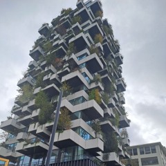 sheryl (look in the mirror)