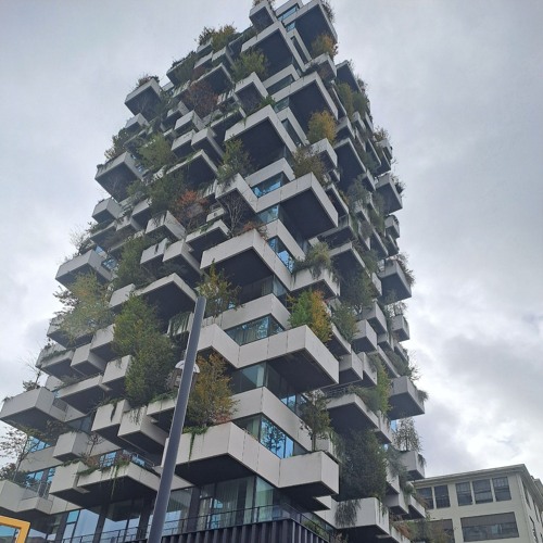 sheryl (look in the mirror)