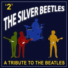 Within You Without You / Tomorrow Never Knows