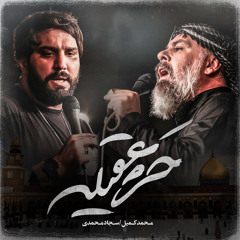 حرم عقیله