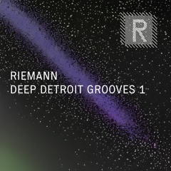 Riemann Deep Detroit Grooves 1 (Sample Pack Demo Song)