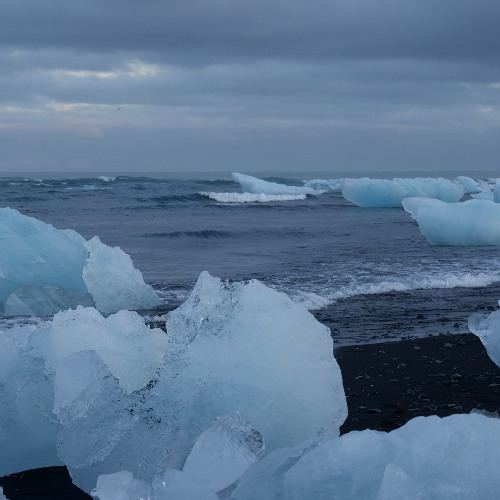 Session 12/25 (Live)