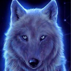 SET ARRIBA LOS LOBOS 2.0👾