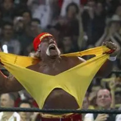 HB2X X YSB MARI X HULK HOGAN