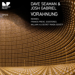 Vorahnung (Francis Preve Remix)