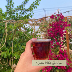 ‎⁨ حَرك قَلبي و ذوب قلبي .. مثل السُكر فيّ فنجان شاهي 🎼