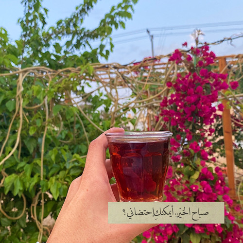 ‎⁨ حَرك قَلبي و ذوب قلبي .. مثل السُكر فيّ فنجان شاهي 🎼