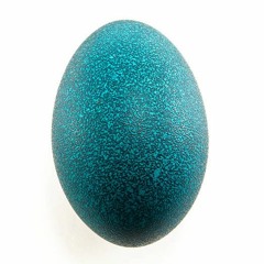 jajko ale to midwest emo