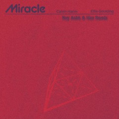Calvin Harris, Ellie Goulding - Miracle ( Huy Anhh & Him Mix )