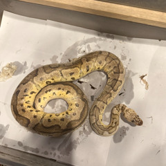 2025-12-16 TECH TECH MIX SET TILLIT