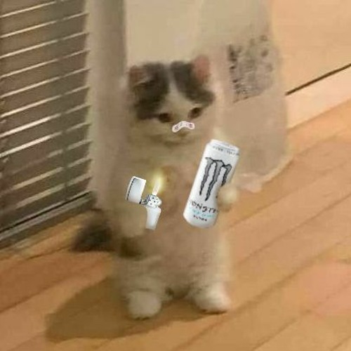 ASTRO CAT ENVY ABUSING MONSTER TO SPACE