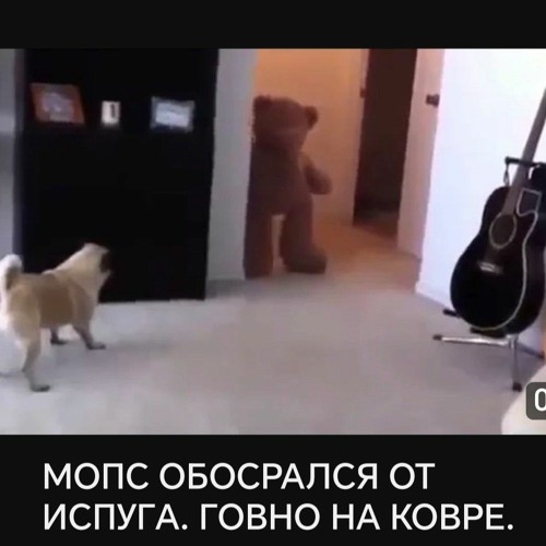 Птицу ЕМЪ-Нумеро Уно (вариант1 демо 2011)