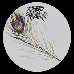 Premiere | European Canon - La Pistola (solla Remix) [DDTX004]