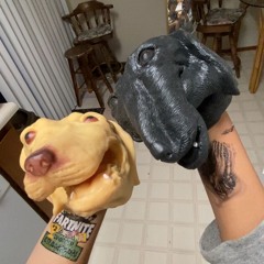 The Bark Side Of The Moon