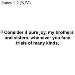 James 1_1_11