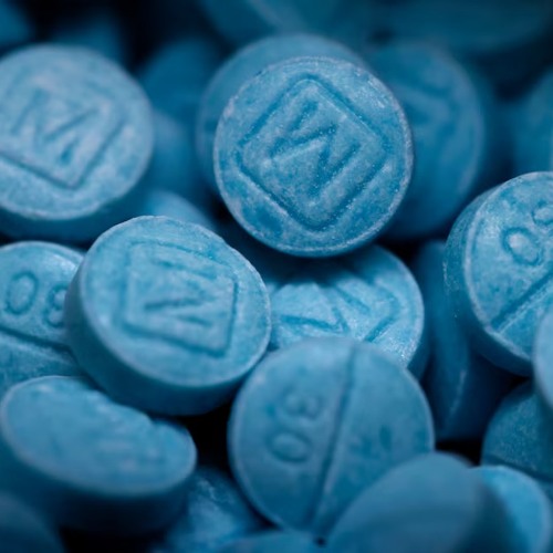 Perc 30’s v4