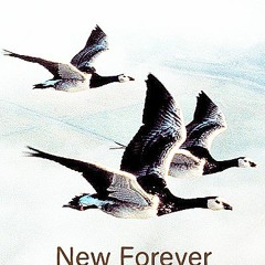 New Forever (with Gonzo)