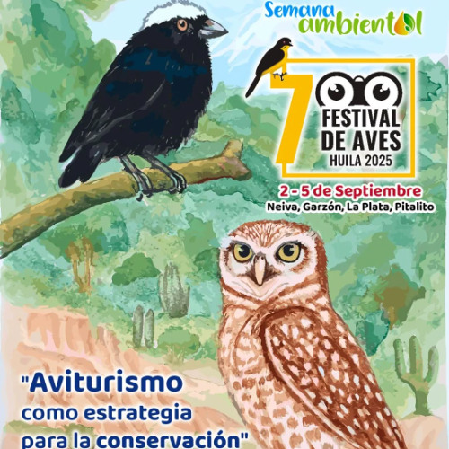 VII Festival_Aves_Sebastian_Betancourt (1)