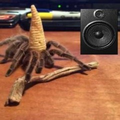 Miny - Raving Tarantula Wizard
