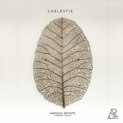 Various Artists - Caelestis EP [Vinyl]