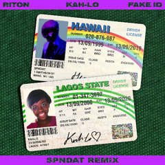 Riton & Kah-Lo - Fake ID (SPNDAT Remix)