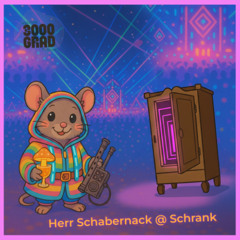 Schrank @ 3000 Grad Festival