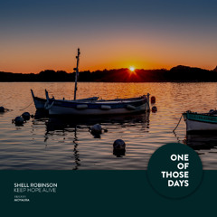 Shell Robinson - Keep Hope Alive [One Of Those Days]