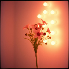 wanna give you your flowers. ver 1-2