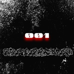 Sounds from the Vault 001 /// FL2505RUG