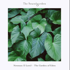 Newman (I Love) - Strawberry Moon