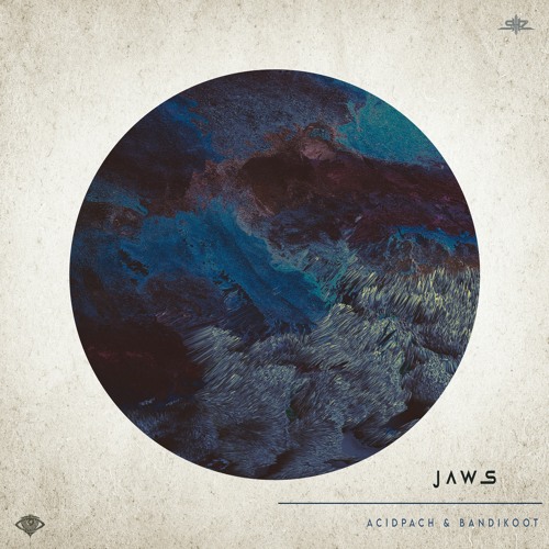 Acidpach & Bandikoot | JAWS