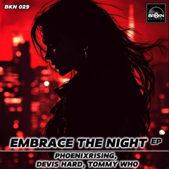 Embrace The Night (Original Mix)