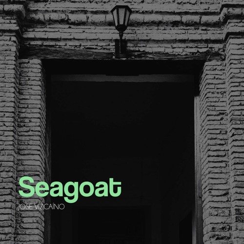 Jose Vizcaino - Seagoat (Original Mix) Get your copy @ bandcamp.com