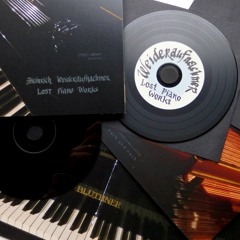 Weideraufnachmer - lost piano works | 10