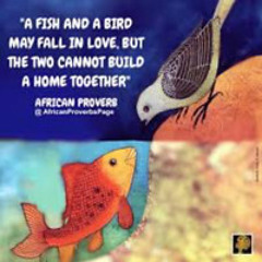 2025.03.19a Fish and Bird