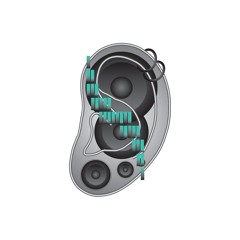 I Swear The Bass Was Talking To Me