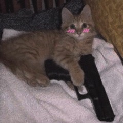 K.V.N - DELETE [dooglebug REMIX]