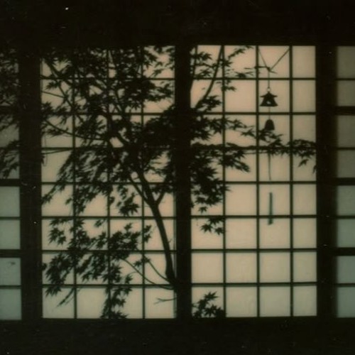森林浴