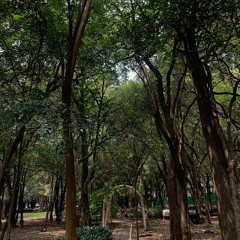 Saturator x Arantxa 01