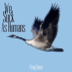 Flying Goose - They Only Bring Chaos To Us