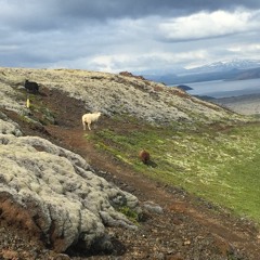 I like my life simple, let's do it again (2020)