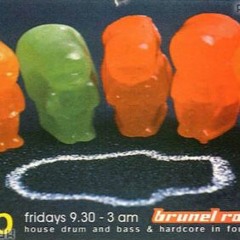 Dougal -- The Fruit Club - Brunel Rooms - 1996