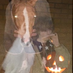 WITCHTRAP (HALLOWEEN exclusive)