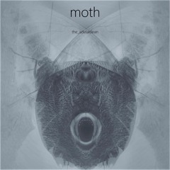 moth