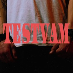 TESTVAM (feat. KARINÈ)