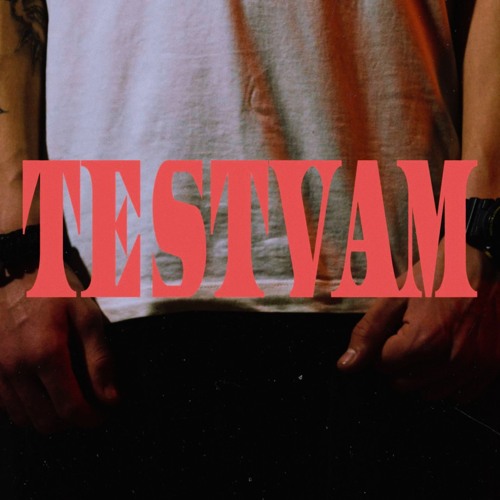 TESTVAM (feat. KARINÈ)